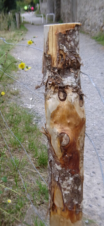 Photography titled "JE VOUS AI A L'OEIL…" by Annick Couëdel, Original Artwork