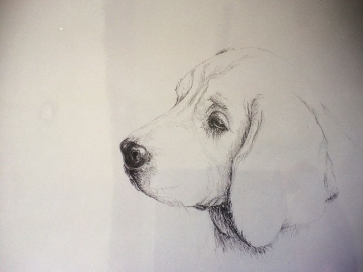Drawing titled "Chiot" by Annick Ansquer, Original Artwork, Charcoal