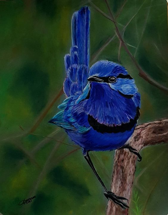 Картина под названием "oiseau bleu" - Anny Dournon, Подлинное произведение искусства, Пастель