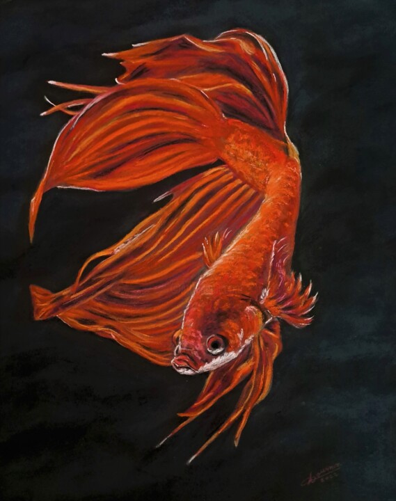 Peinture intitulée "poisson combattant" par Anny Dournon, Œuvre d'art originale, Pastel