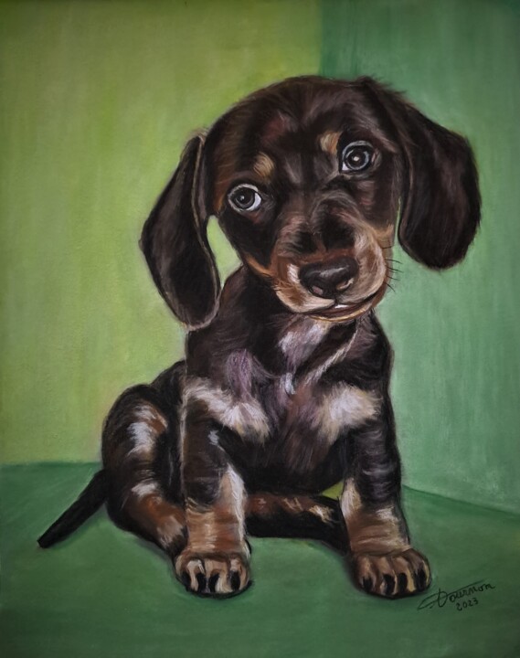 Peinture intitulée "chiot teckel" par Anny Dournon, Œuvre d'art originale, Pastel