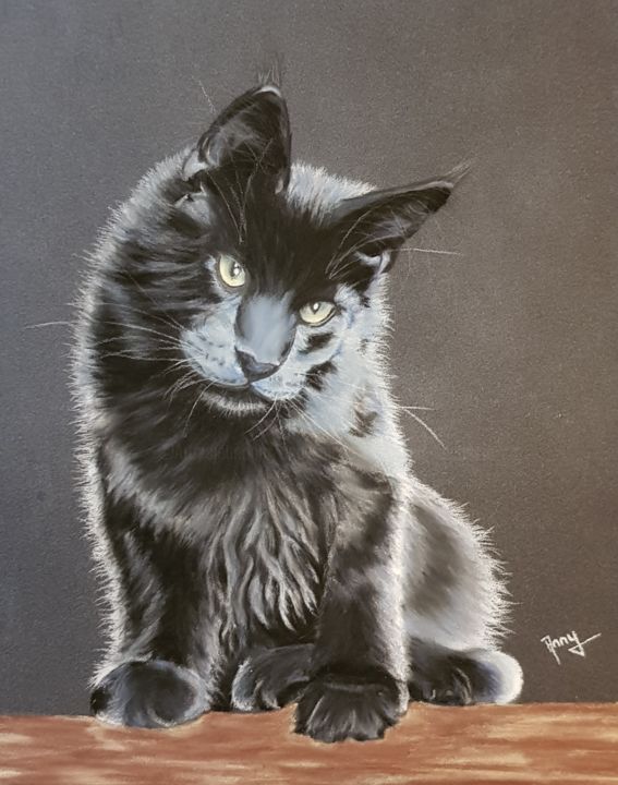 Painting titled "Chaton Maine Coon" by Anny Burtscher-Beaudoin, Original Artwork, Pastel