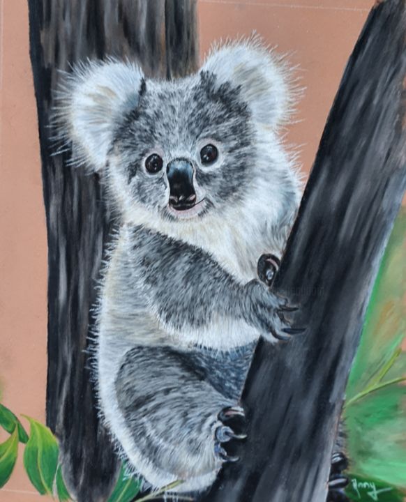 Peinture intitulée "Le koala, emblème d…" par Anny Burtscher-Beaudoin, Œuvre d'art originale, Pastel