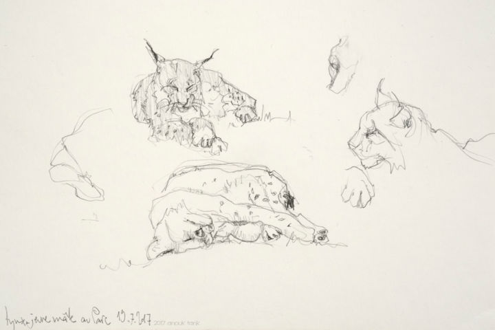 Arts numériques intitulée "lynx 1 2 3 sketch" par Anouk Tank, Œuvre d'art originale