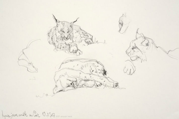 Arts numériques intitulée "lynx 1 2 3 sketch" par Anouk Tank, Œuvre d'art originale,