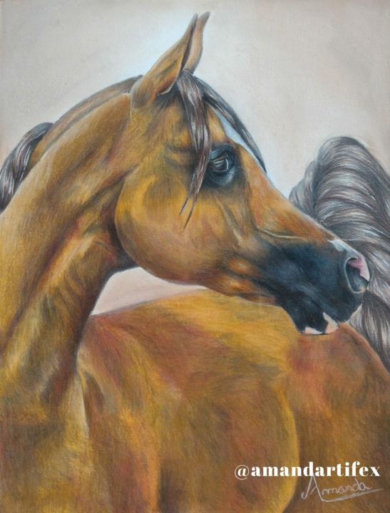 Como DESENHAR um CAVALO - Como DIBUJAR un CABALLO - How to DRAW a