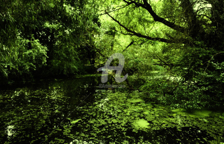 Photographie intitulée "The Green Dark Ouse" par Anthony Oliver, Œuvre d'art originale, Photographie numérique