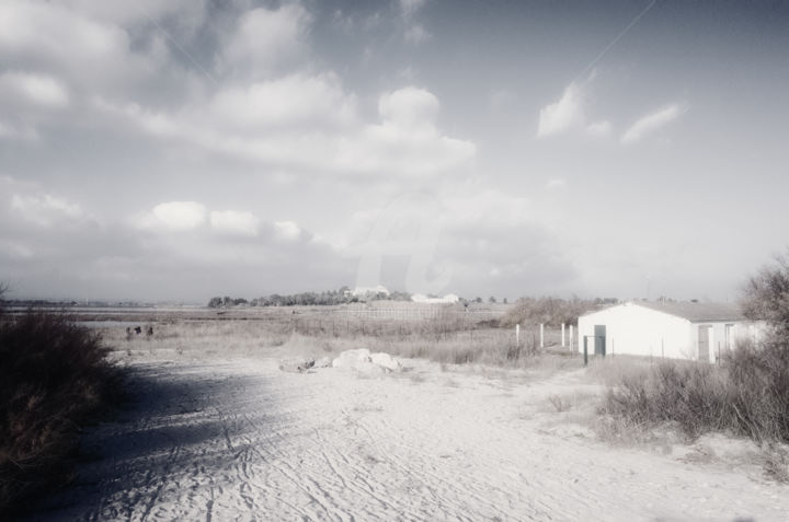 Fotografía titulada "Beach house" por Anthony Oliver, Obra de arte original