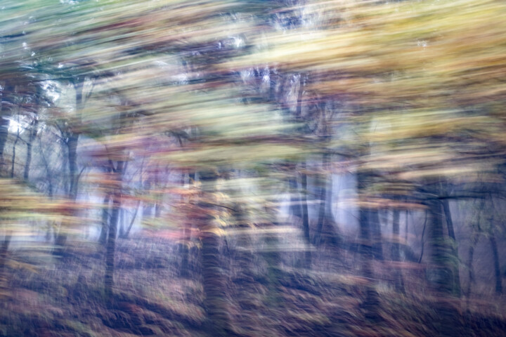 Photographie intitulée "Etna 01.11.2021" par Anthony Thenaisy, Œuvre d'art originale, Photographie numérique