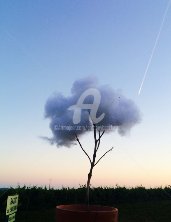 Фотография под названием "Arbre nuage #6" - Abacchetta, Подлинное произведение искусства, Цифровая фотография