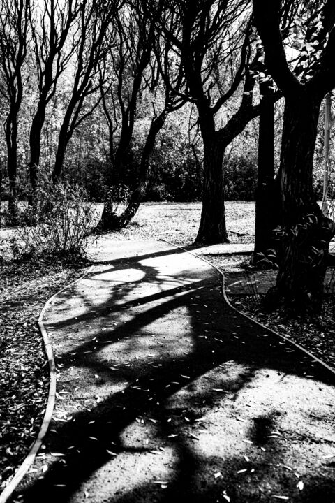 Fotografía titulada "Дорожка в парке" por Anton Popov, Obra de arte original, Fotografía digital