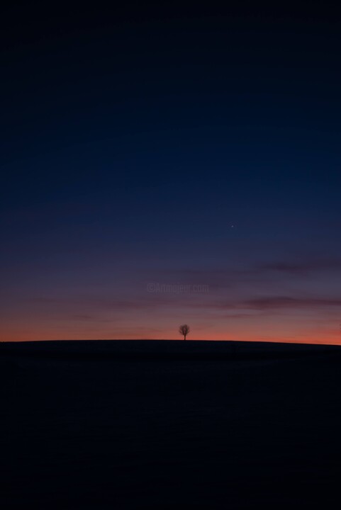 Photographie intitulée "So lonely" par Antonin Borie, Œuvre d'art originale, Photographie numérique