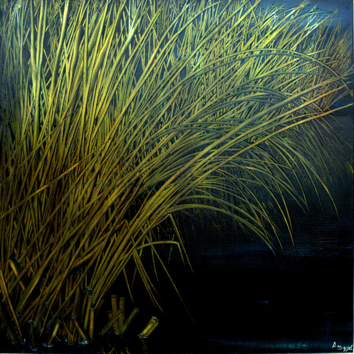 Painting titled "reeds" by Antonio Maggio Carluccio, Original Artwork, Oil