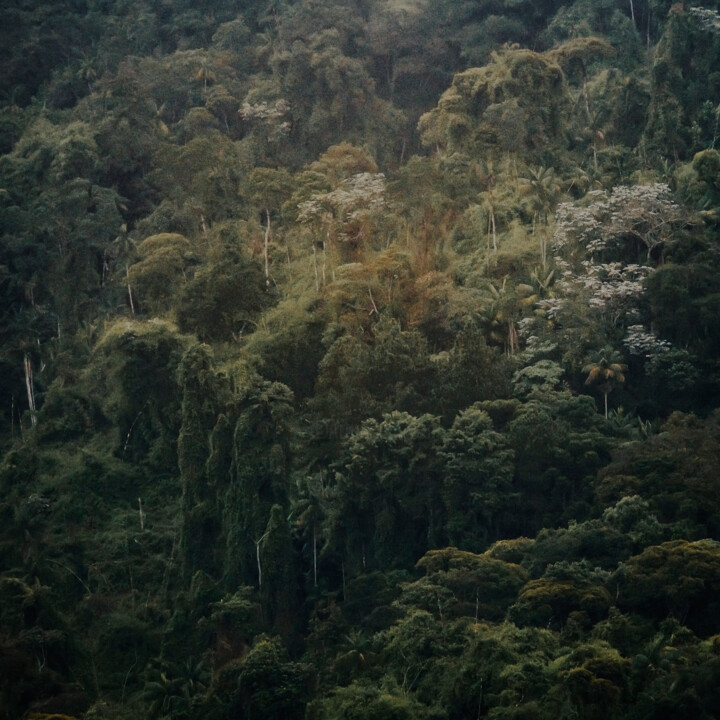 Fotografía titulada "Mantiqueira Ridge IX" por Antonio Schubert, Obra de arte original, Fotografía digital