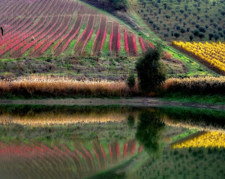 Fotografia intitolato "Riflessi Autunnali" da Antonio Castiglione, Opera d'arte originale