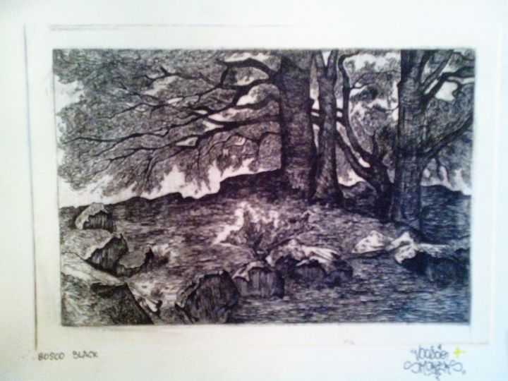 Incisioni, stampe intitolato "bosco black" da Antonio Skvaza, Opera d'arte originale