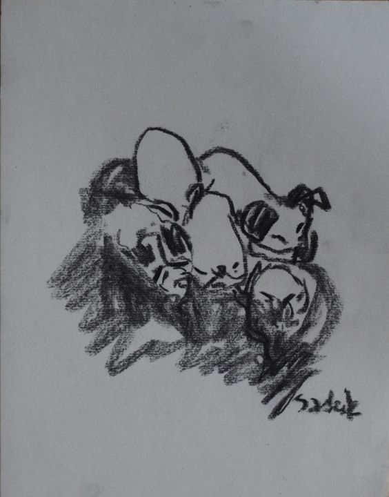 Drawing titled "puppies" by Anna Sadzik, Original Artwork, Charcoal