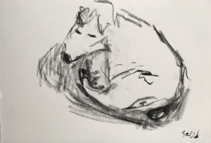 Disegno intitolato "Sleeping dog" da Anna Sadzik, Opera d'arte originale