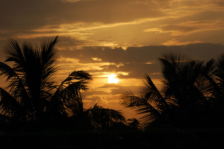 Φωτογραφία με τίτλο "Golden Sunrise" από Ak, Αυθεντικά έργα τέχνης