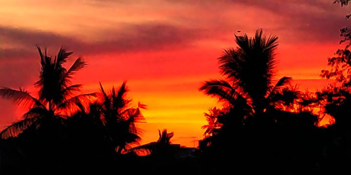 Φωτογραφία με τίτλο "Sunset Trees Silhou…" από Ak, Αυθεντικά έργα τέχνης, Ψηφιακή φωτογραφία