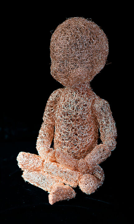Sculpture intitulée "Cage of Life Medita…" par Aomi Kikuchi, Œuvre d'art originale, Fil de fer
