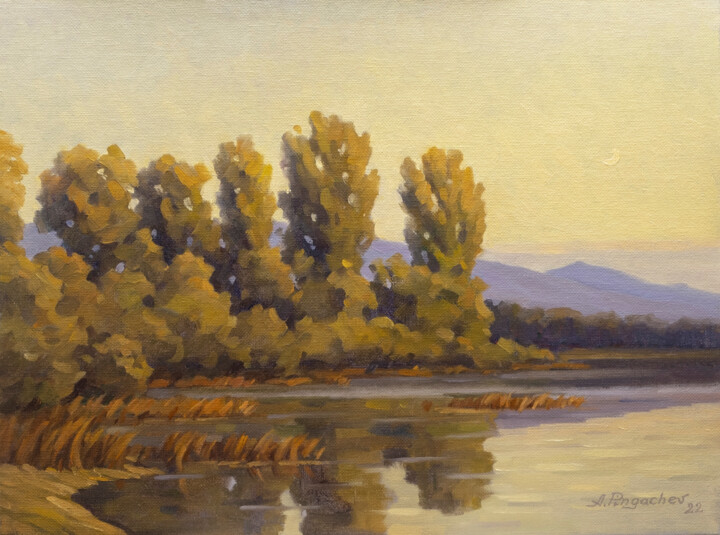 Peinture intitulée "Early morning on th…" par Andrey Pingachev, Œuvre d'art originale, Huile Monté sur Carton