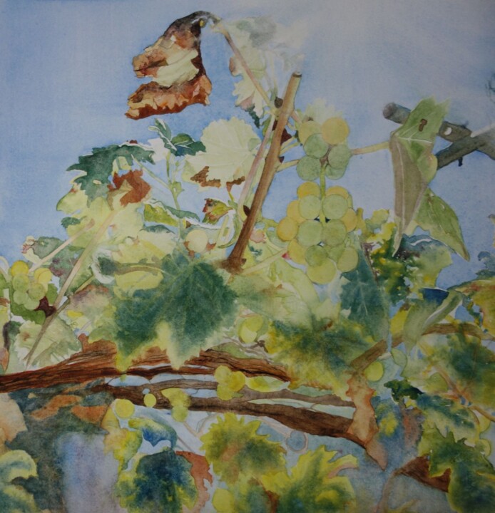Malerei mit dem Titel "vigne et raisin bla…" von Aquarella, Original-Kunstwerk, Aquarell
