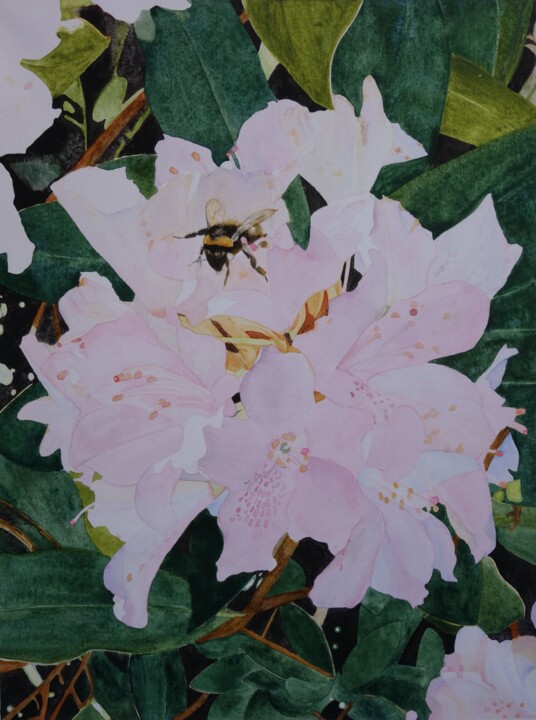 Malerei mit dem Titel "rhododendron rose e…" von Aquarella, Original-Kunstwerk, Aquarell
