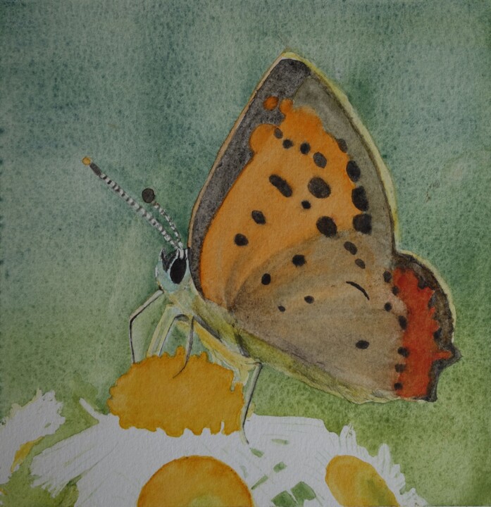 Malerei mit dem Titel "papillon orange but…" von Aquarella, Original-Kunstwerk, Aquarell
