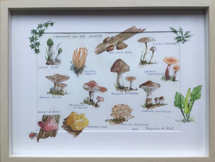 Painting titled "Champignons aux nom…" by Jacqueline De Streel, Original Artwork, Watercolor Mounted on artwork_cat.