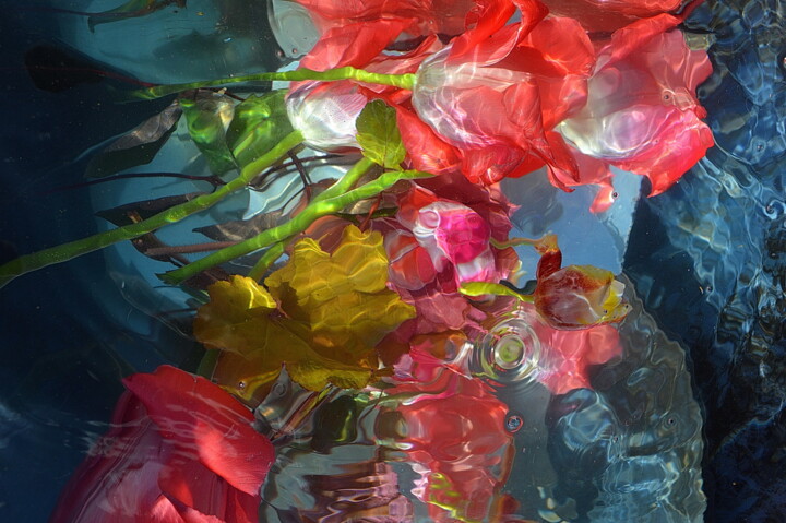 Photography titled "tulipes et iris" by Aquartistiq, Original Artwork, Digital Photography