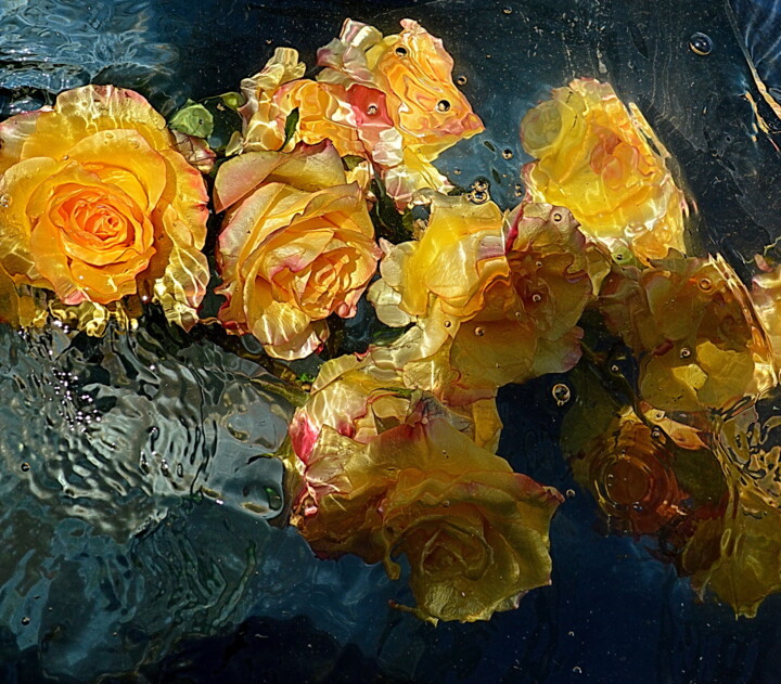 Fotografie getiteld "roses jaunes et rou…" door Aquartistiq, Origineel Kunstwerk, Digitale fotografie