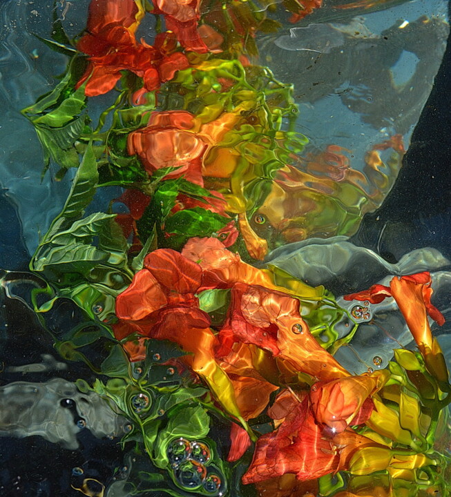 Fotografia intitolato "fleurs de bignone" da Aquartistiq, Opera d'arte originale, Fotografia digitale