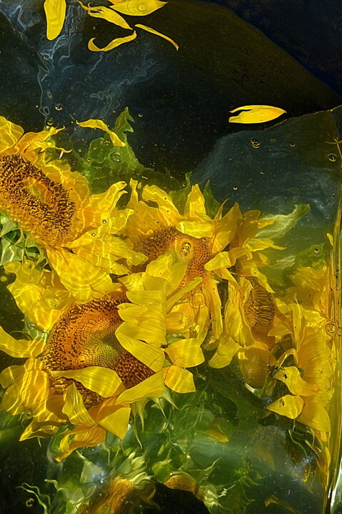 Photographie intitulée "quelques tournesols" par Aquartistiq, Œuvre d'art originale, Photographie numérique