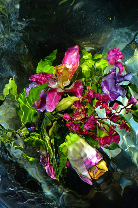 Photographie intitulée "couleurs mélangées" par Aquartistiq, Œuvre d'art originale, Photographie numérique