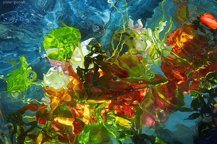 Photographie intitulée "mélange de fleurs 2" par Aquartistiq, Œuvre d'art originale, Photographie numérique