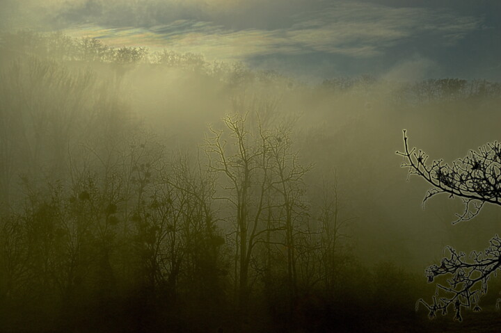 Fotografie getiteld "tôt le matin" door Aquartistiq, Origineel Kunstwerk, Digitale fotografie