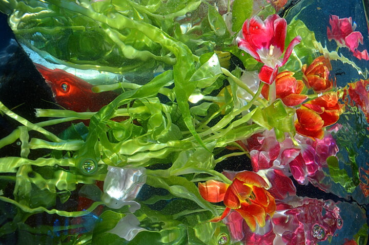 Photographie intitulée "bouquets tulipes." par Aquartistiq, Œuvre d'art originale, Photographie numérique