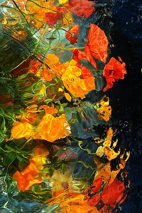Photographie intitulée "mélange aquatique." par Aquartistiq, Œuvre d'art originale, Photographie numérique