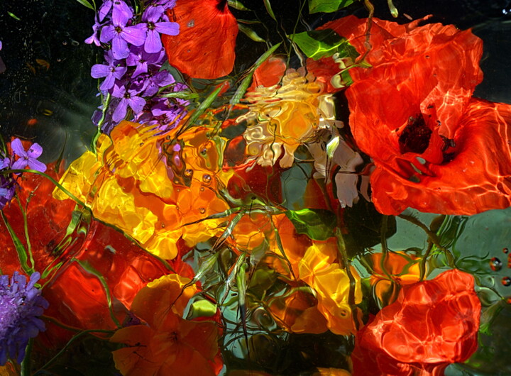 摄影 标题为“bouquet melange...” 由Aquartistiq, 原创艺术品, 数码摄影