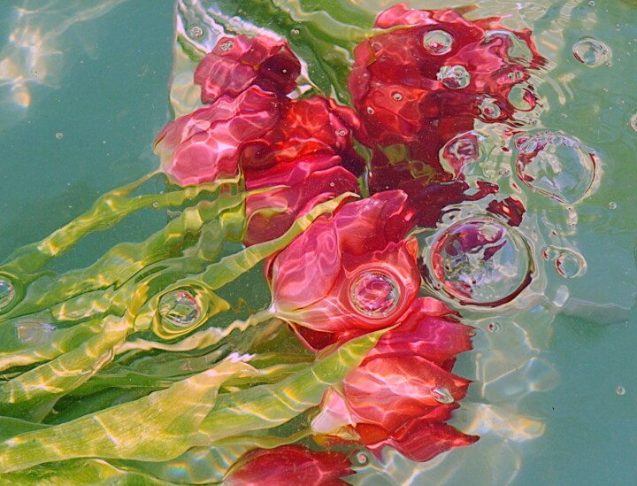 Photography titled "tulipes." by Aquartistiq, Original Artwork, Digital Photography