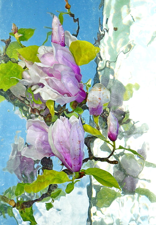 Fotografie mit dem Titel "arums," von Aquartistiq, Original-Kunstwerk, Digitale Fotografie