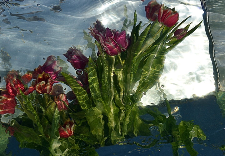 Photographie intitulée "tulipes rouges." par Aquartistiq, Œuvre d'art originale, Photographie numérique
