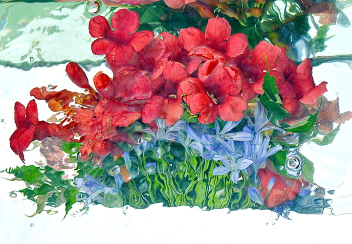 Photographie intitulée "fleurs . ." par Aquartistiq, Œuvre d'art originale, Photographie numérique