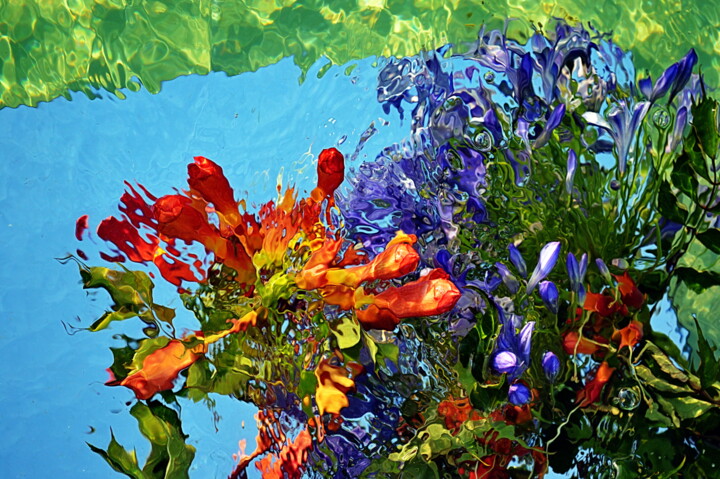 Fotografia zatytułowany „fleurs ...” autorstwa Aquartistiq, Oryginalna praca, Fotografia cyfrowa