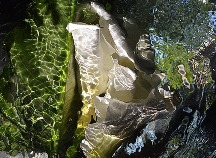 Fotografie getiteld "arumss" door Aquartistiq, Origineel Kunstwerk, Digitale fotografie