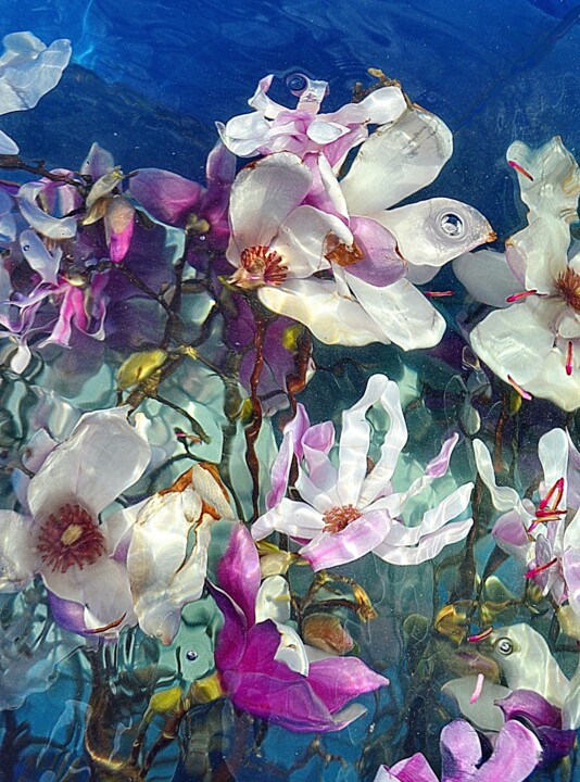Photographie intitulée "melange de tulipes" par Aquartistiq, Œuvre d'art originale, Photographie numérique