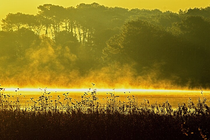 摄影 标题为“brouillard et lac” 由Aquartistiq, 原创艺术品, 数码摄影