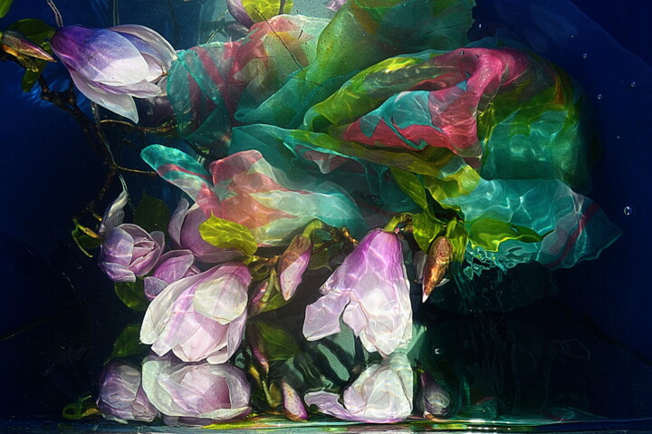 Photographie intitulée "fleurs magnolia et…" par Aquartistiq, Œuvre d'art originale, Photographie numérique