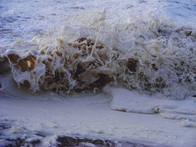 Fotografie getiteld "mousse" door Aquartistiq, Origineel Kunstwerk